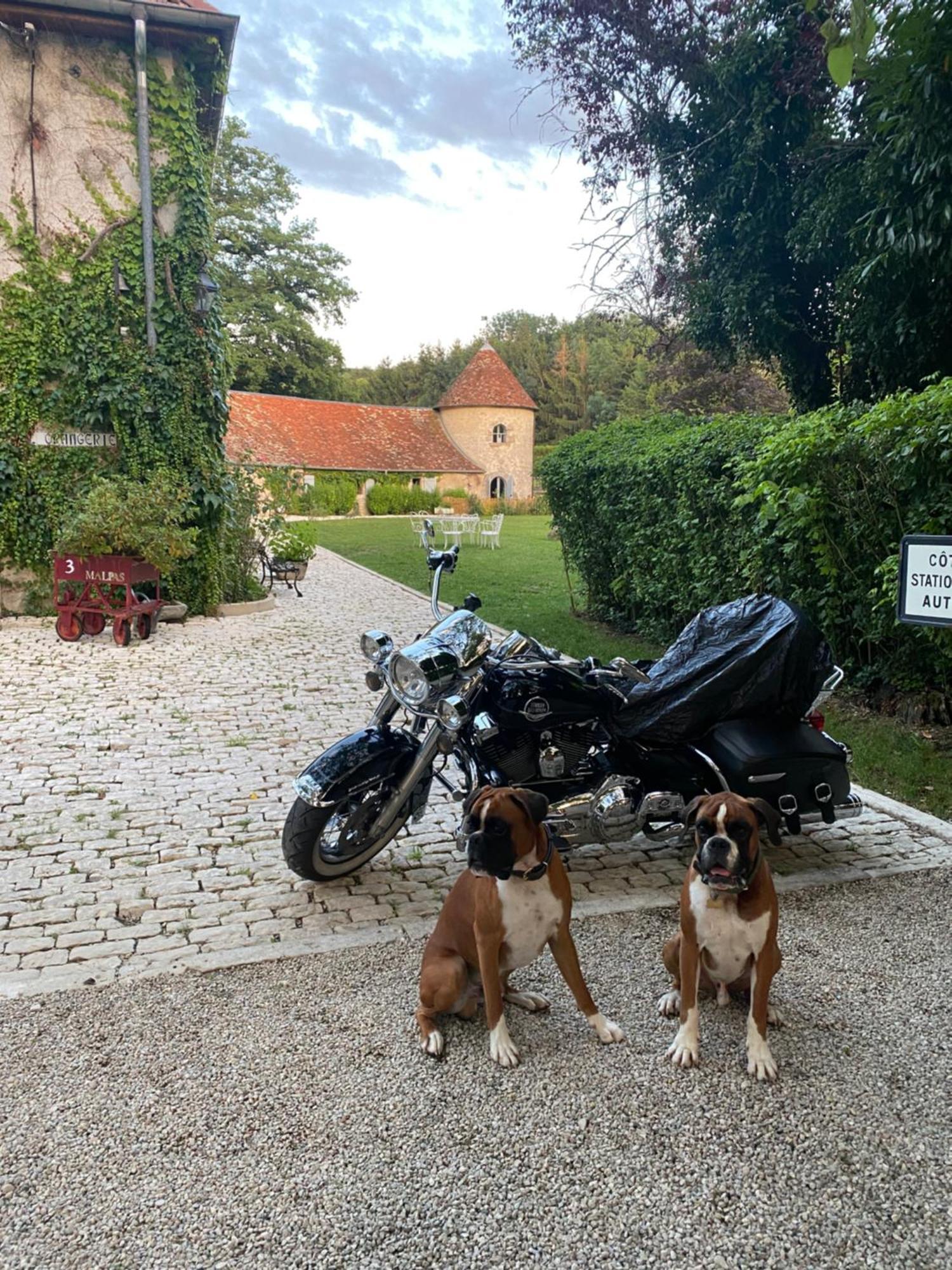 Bed and Breakfast Le Colombier De Malpas Quingey Екстер'єр фото