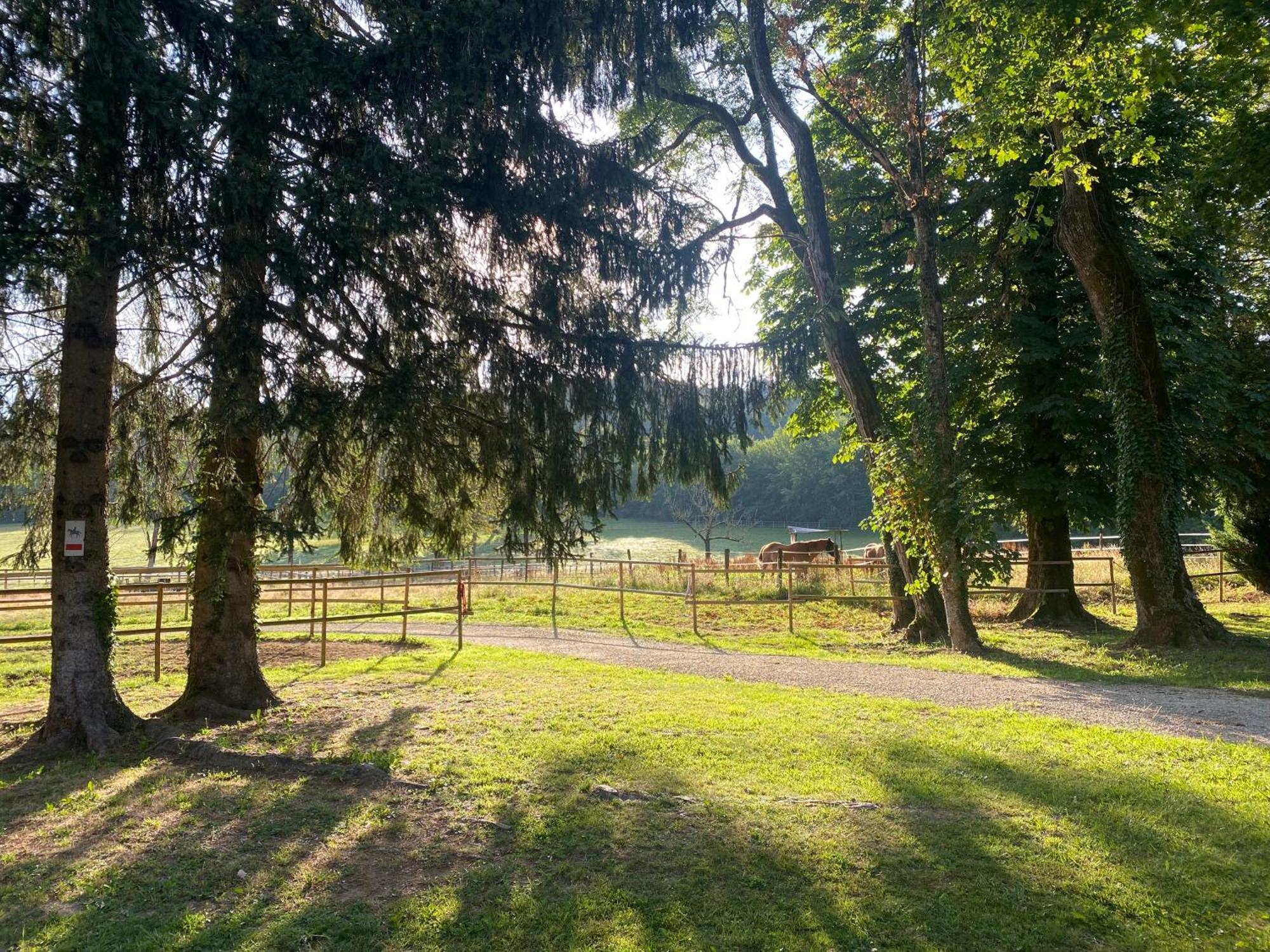 Bed and Breakfast Le Colombier De Malpas Quingey Екстер'єр фото